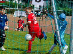 Hillen Cup 2024